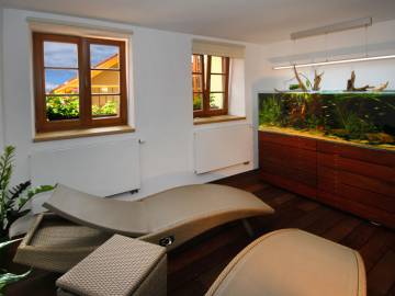 bily_jednorozec_lazebna_16